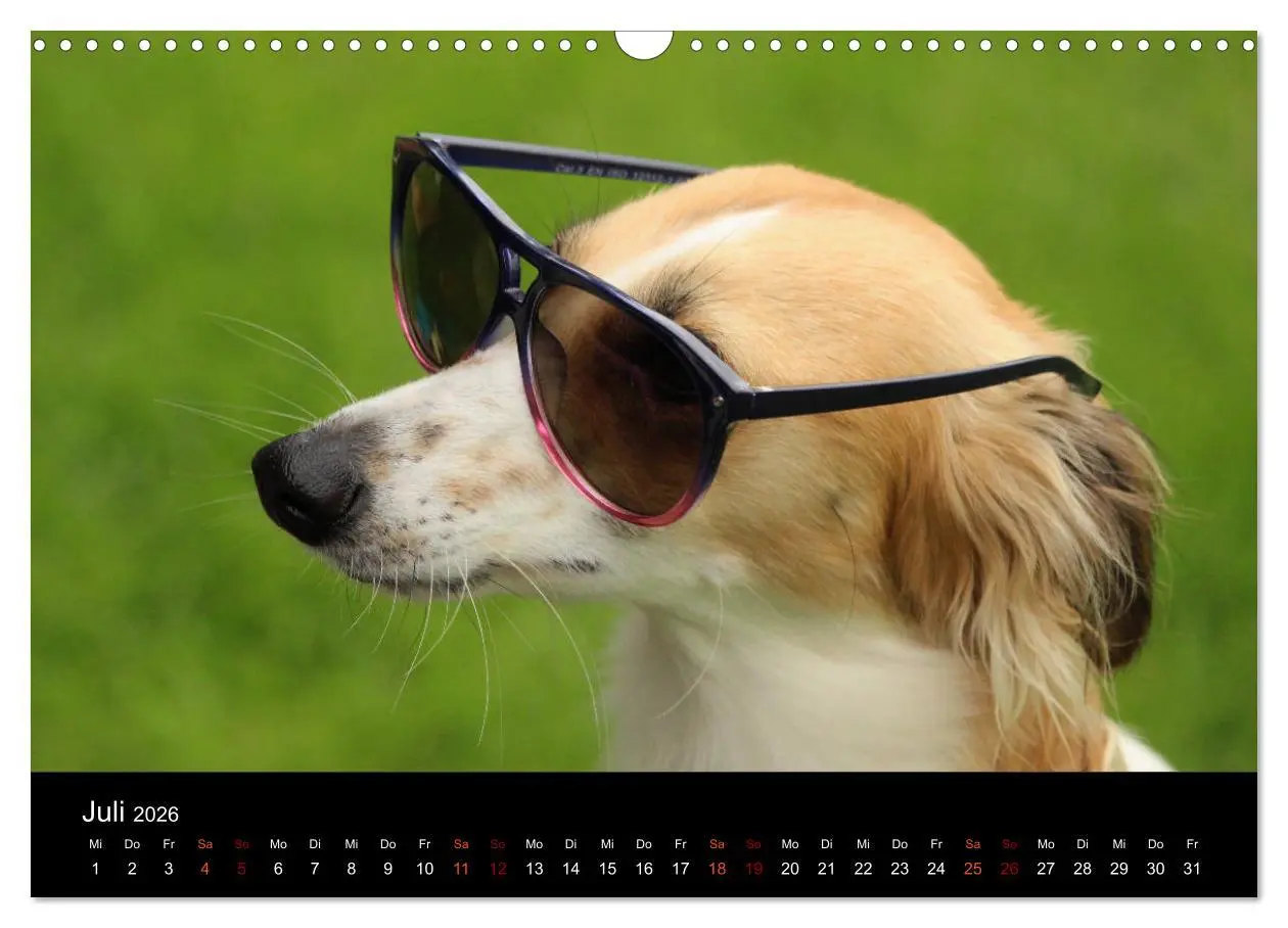 Bild: 9783457896105 | Der Silken Windsprite - ein Seelenhund (Wandkalender 2026 DIN A3...