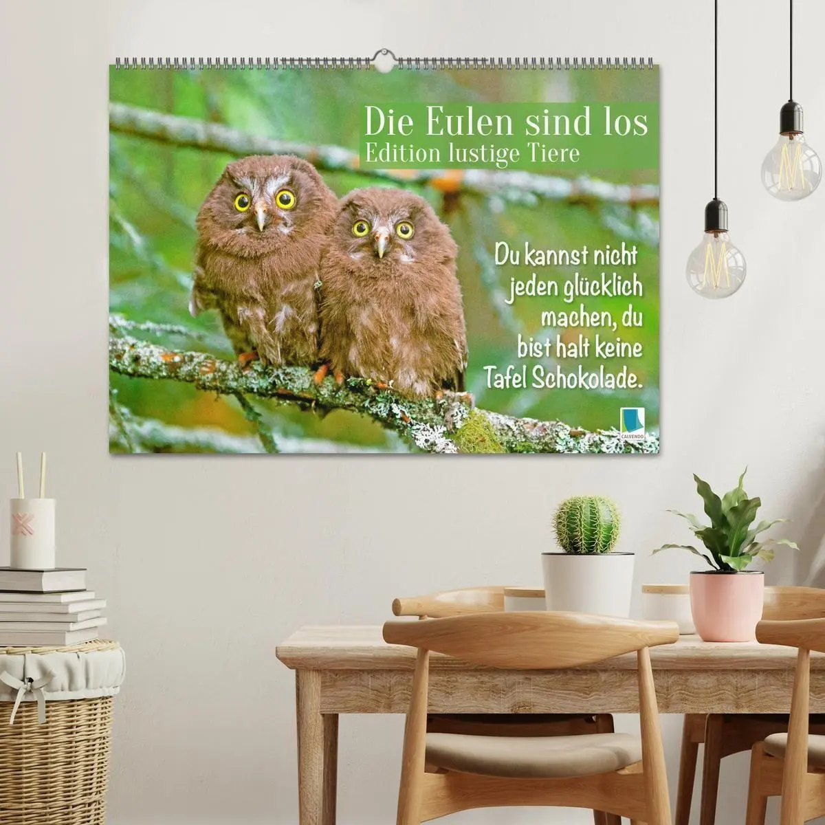 Bild: 9783516986105 | Die Eulen sind los: Edition lustige Tiere (Wandkalender 2027 DIN A2...