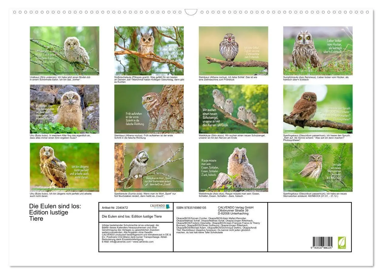 Bild: 9783516986105 | Die Eulen sind los: Edition lustige Tiere (Wandkalender 2027 DIN A2...