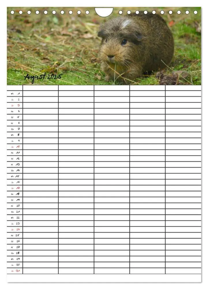 Bild: 9783457026205 | Meerschweinchen und Kaninchen Familienplaner (Wandkalender 2025 DIN...
