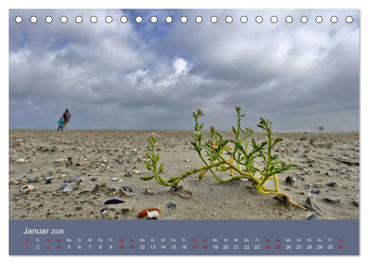 Bild: 9783457886205 | Norderney - Meine Trauminsel (Tischkalender 2026 DIN A5 quer),...