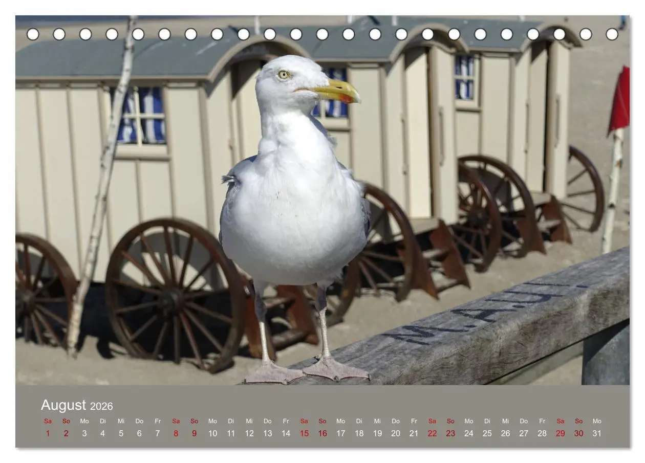 Bild: 9783457886205 | Norderney - Meine Trauminsel (Tischkalender 2026 DIN A5 quer),...