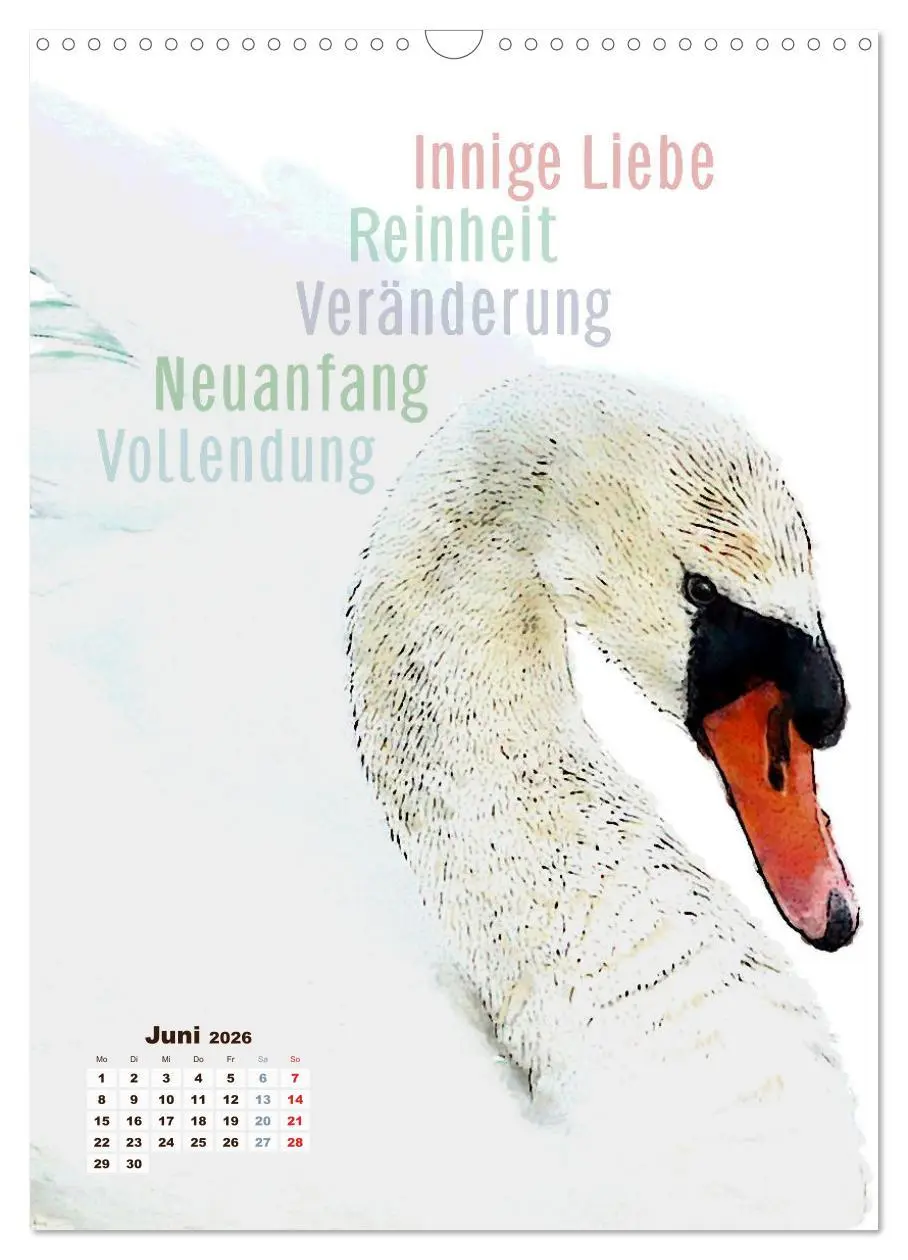 Bild: 9783516406405 | Welche spirituelle Bedeutung hat dieser Vogel? (Wandkalender 2026...