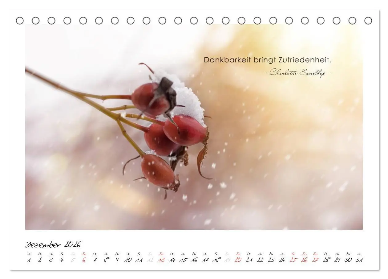 Bild: 9783516016505 | Mit guten Gedanken durch das Jahr (Tischkalender 2026 DIN A5 quer),...