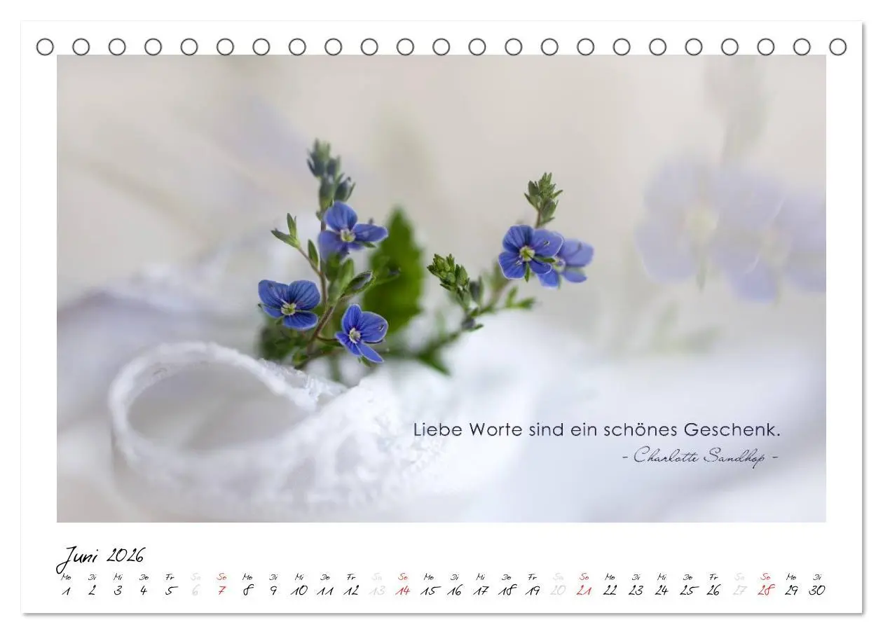 Bild: 9783516016505 | Mit guten Gedanken durch das Jahr (Tischkalender 2026 DIN A5 quer),...