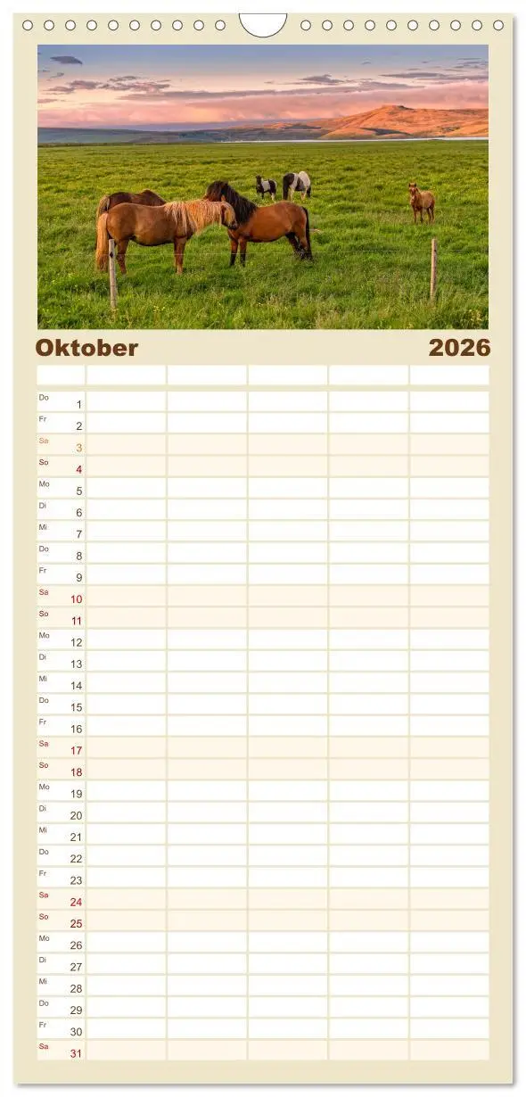 Bild: 9783516496505 | Familienplaner 2026 - Naturwunder in Island mit 5 Spalten...