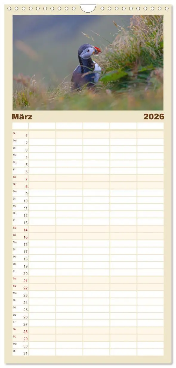 Bild: 9783516496505 | Familienplaner 2026 - Naturwunder in Island mit 5 Spalten...