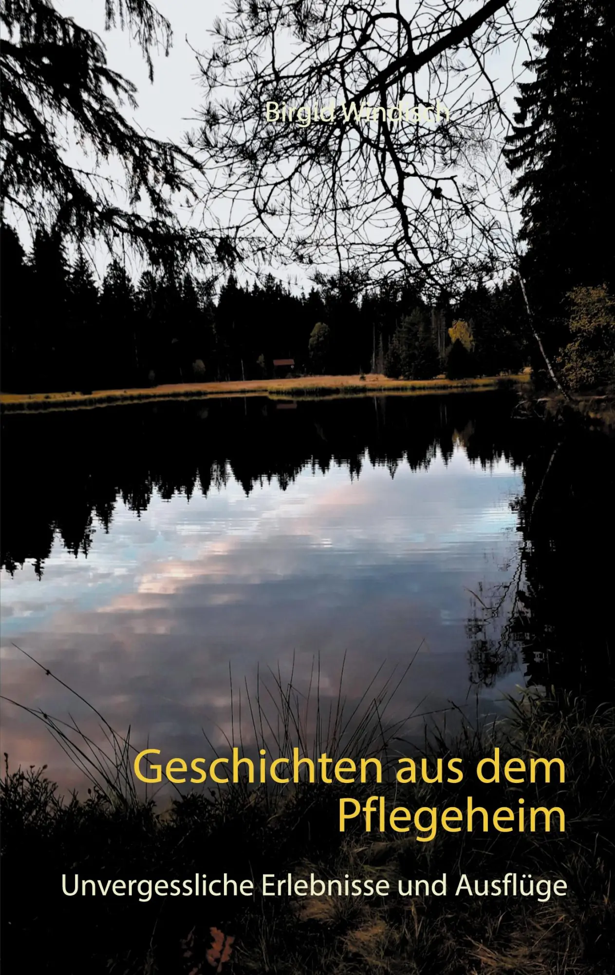 Cover: 9783751956505 | Geschichten aus dem Pflegeheim | Birgid Windisch | Taschenbuch | 80 S.