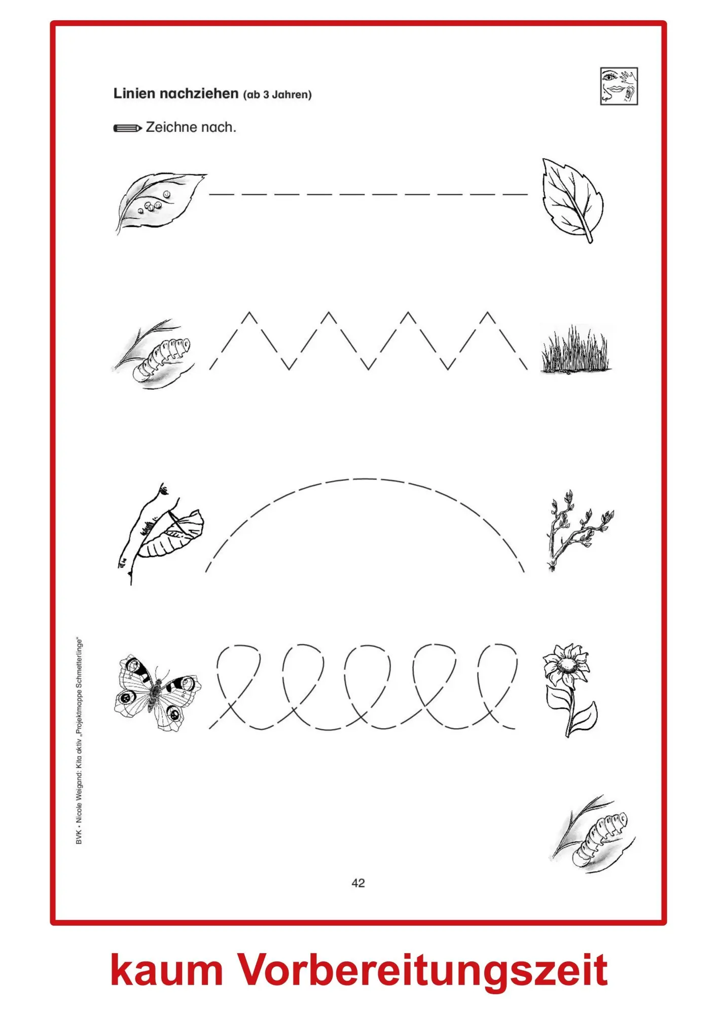 Bild: 9783867406505 | Kita aktiv Projektmappe Schmetterlinge | Nicole Weigand | Taschenbuch