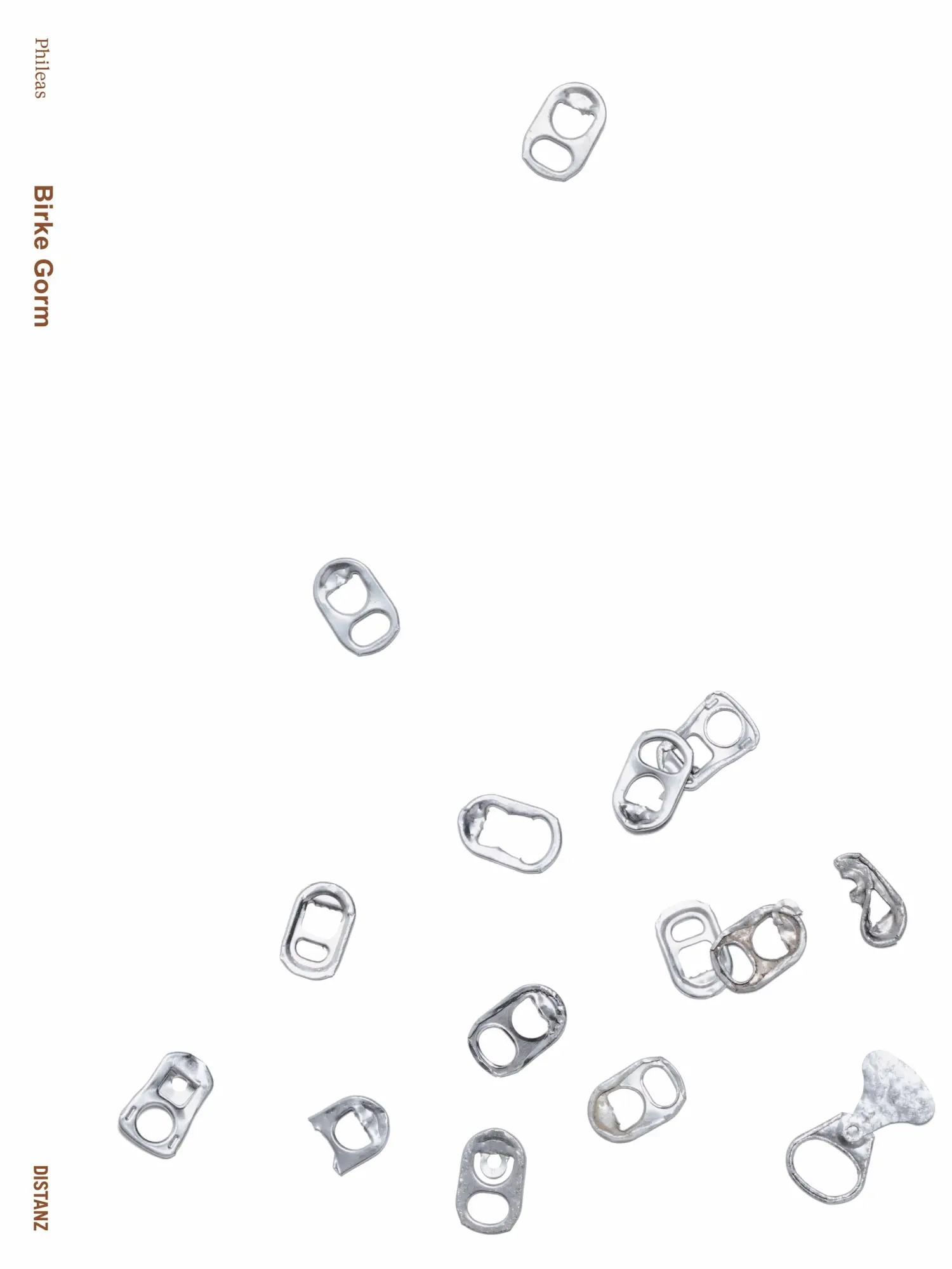 Cover: 9783954766505 | Birke Gorm | Birke Gorm | Taschenbuch | 172 S. | Englisch | 2024