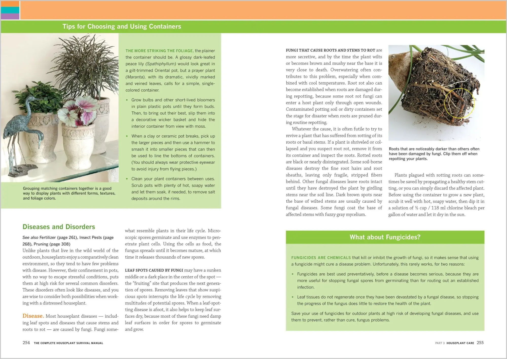 Bild: 9781635866605 | The Complete Houseplant Survival Manual | Barbara Pleasant | Buch
