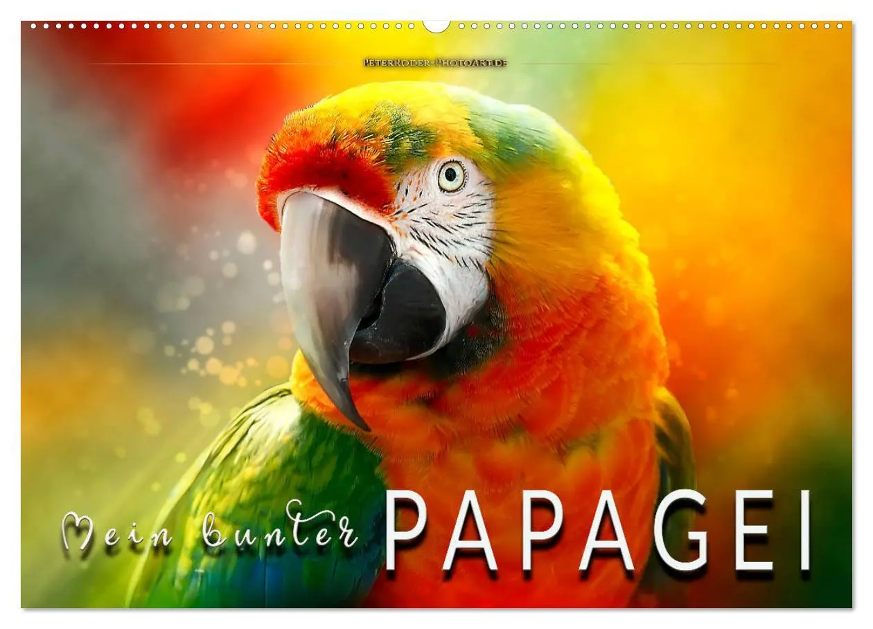 Cover: 9783457846605 | Mein bunter Papagei (Wandkalender 2026 DIN A2 quer), CALVENDO...