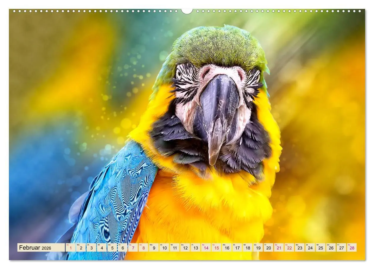 Bild: 9783457846605 | Mein bunter Papagei (Wandkalender 2026 DIN A2 quer), CALVENDO...