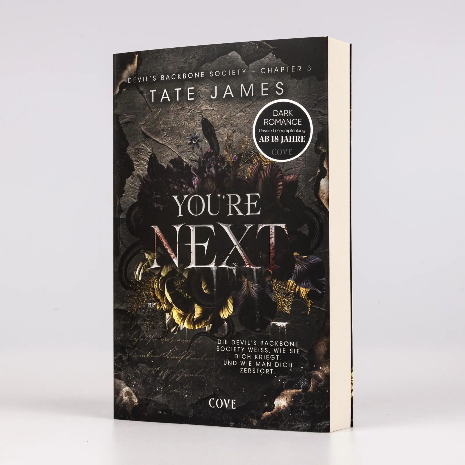 Bild: 9783551586605 | You're Next (Devil's Backbone Society 3) | Tate James | Taschenbuch
