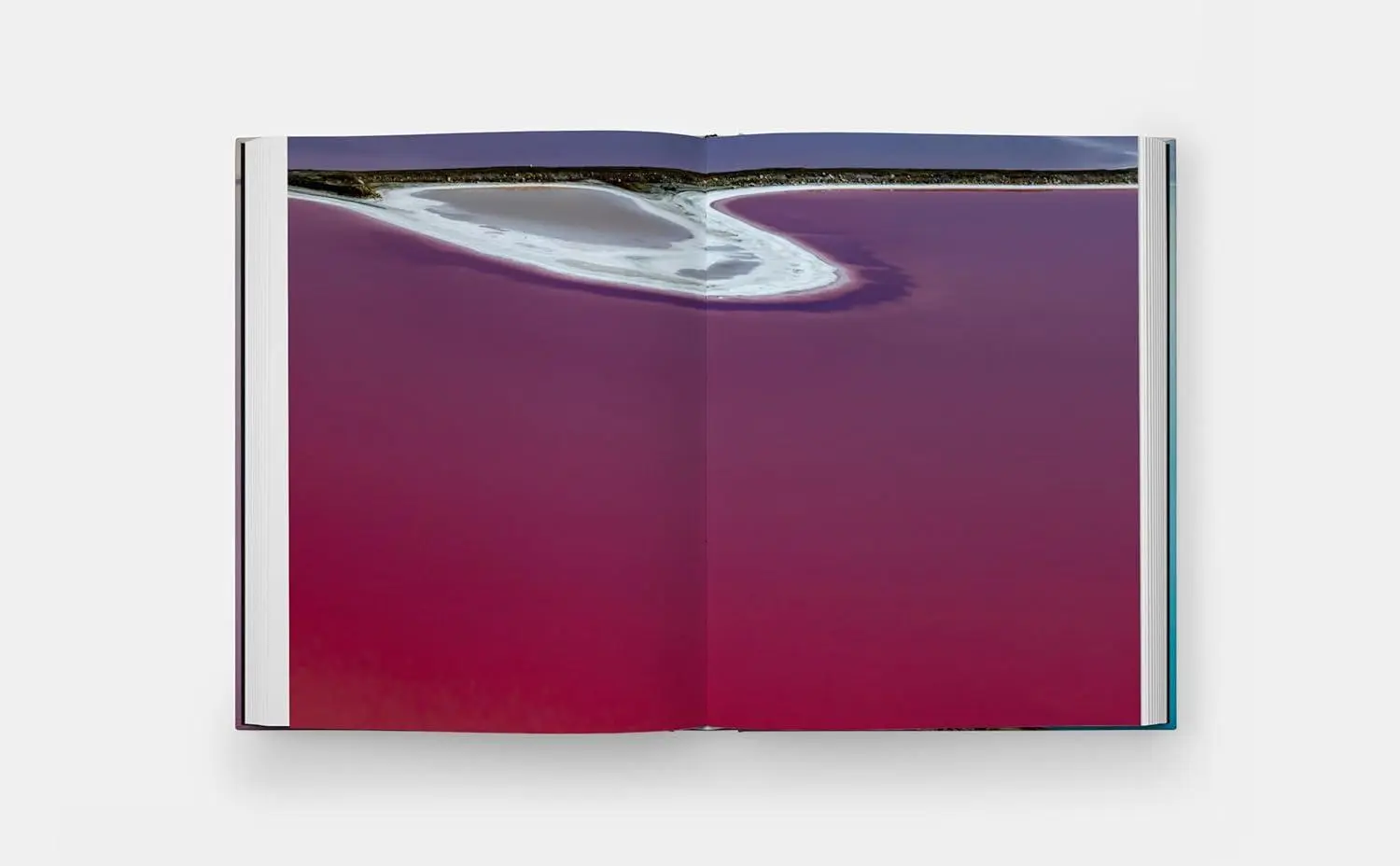 Bild: 9781580936705 | Entropy | Diane Tuft (u. a.) | Buch | The Monacelli Press | 160 S.