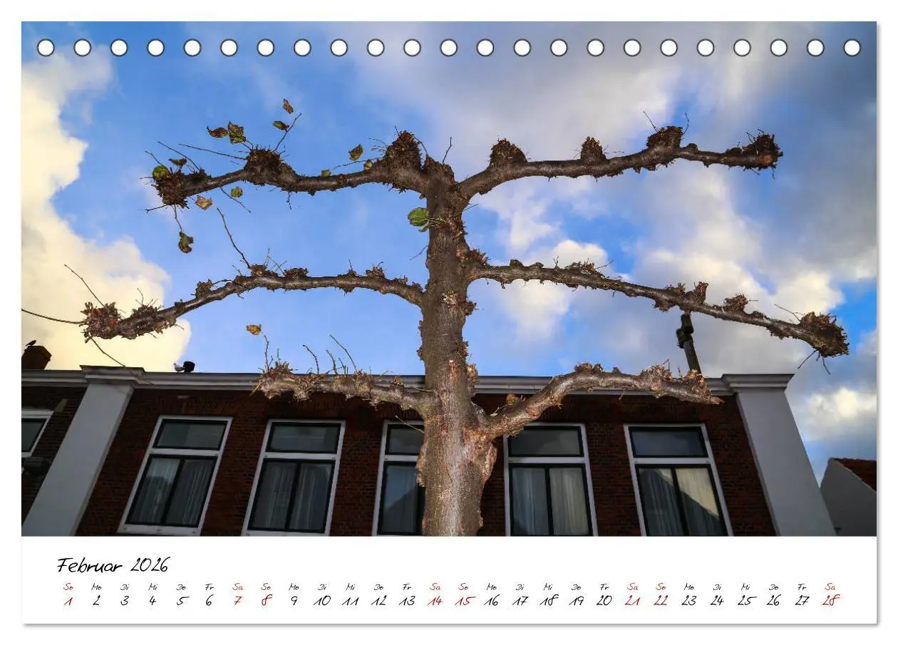 Bild: 9783457906705 | Das Seebad Domburg (Tischkalender 2026 DIN A5 quer), CALVENDO...