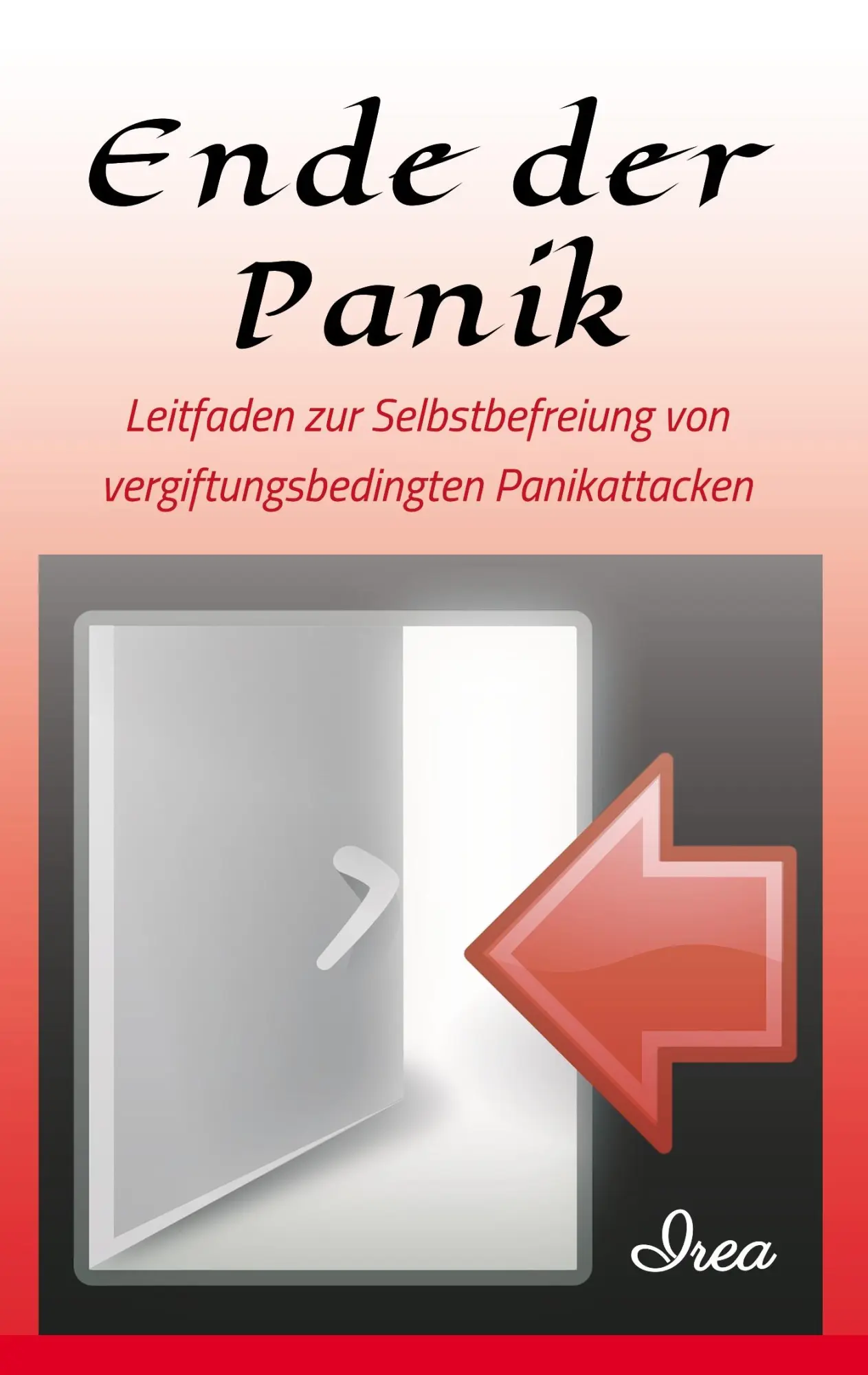 Cover: 9783748206705 | Ende der Panik | I R E A | Taschenbuch | Paperback | 92 S. | Deutsch
