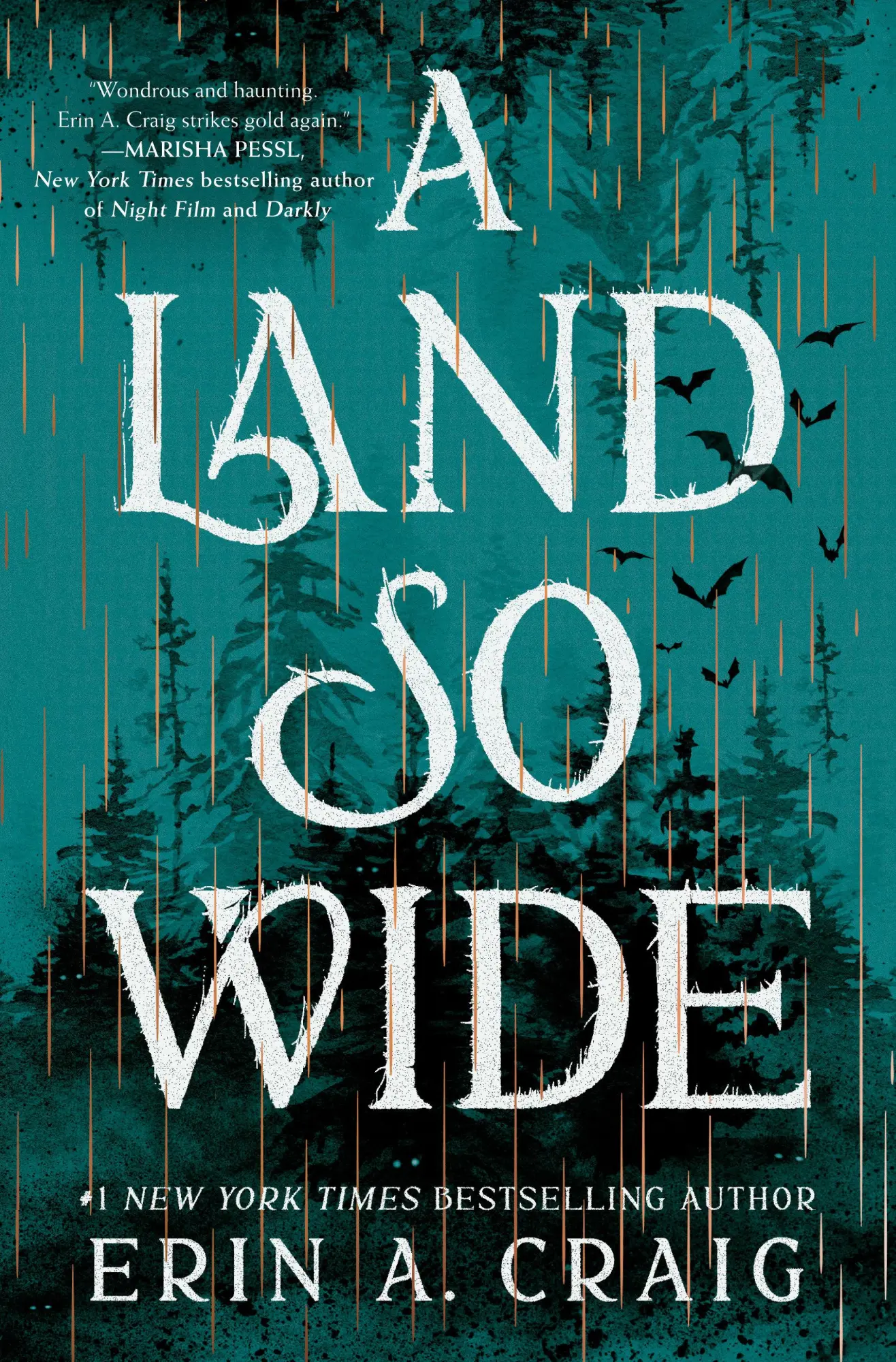 Cover: 9780593686805 | A Land So Wide | Erin A Craig | Buch | Einband - fest (Hardcover)