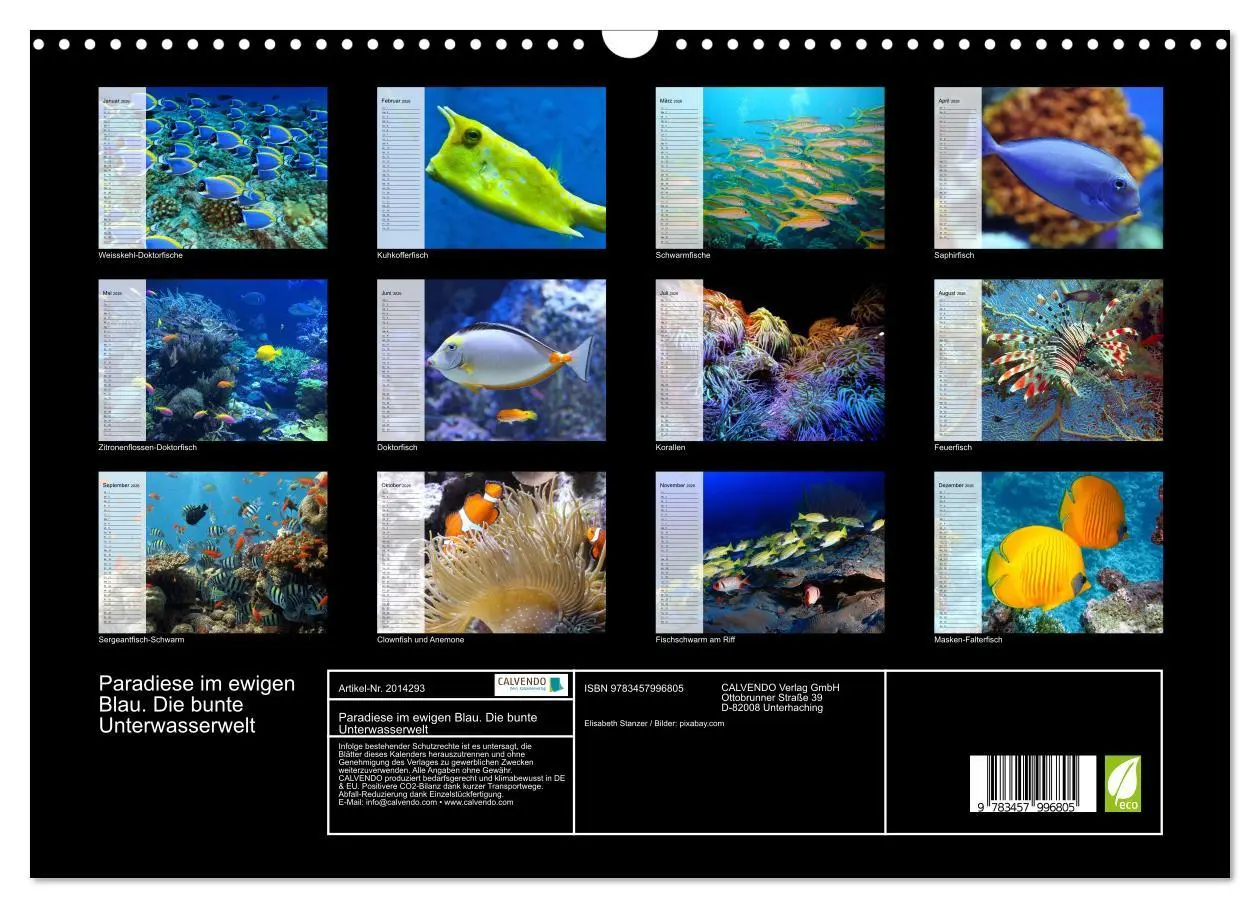 Bild: 9783457996805 | Paradiese im ewigen Blau. Die bunte Unterwasserwelt (Wandkalender...