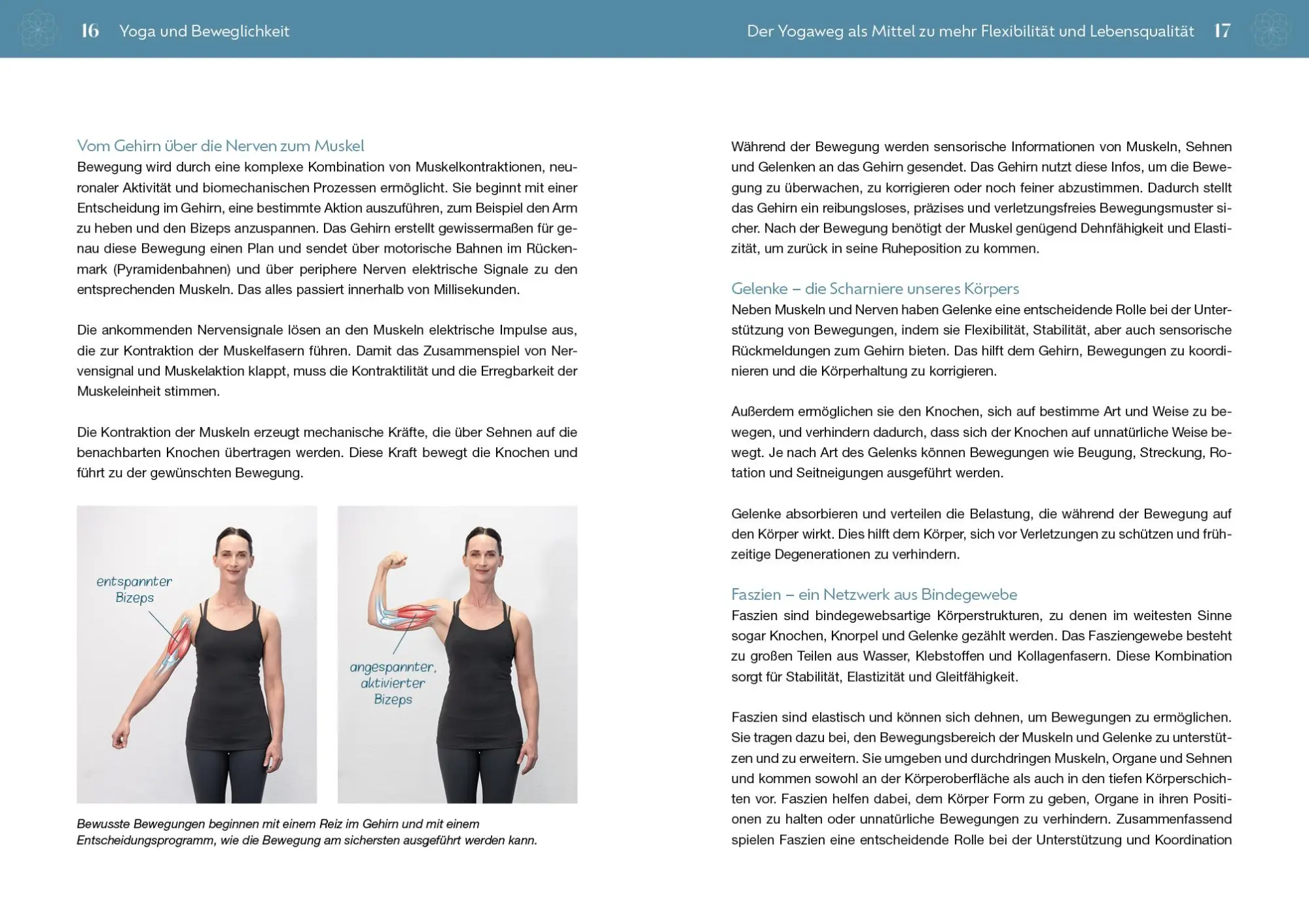 Bild: 9783742326805 | Yoga für Unbewegliche | Friederike Reumann | Taschenbuch | 176 S.