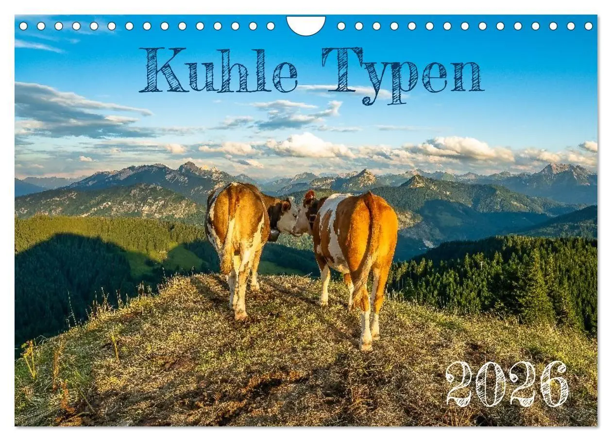 Cover: 9783516696905 | Kuhle Typen (Wandkalender 2026 DIN A4 quer), CALVENDO Monatskalender