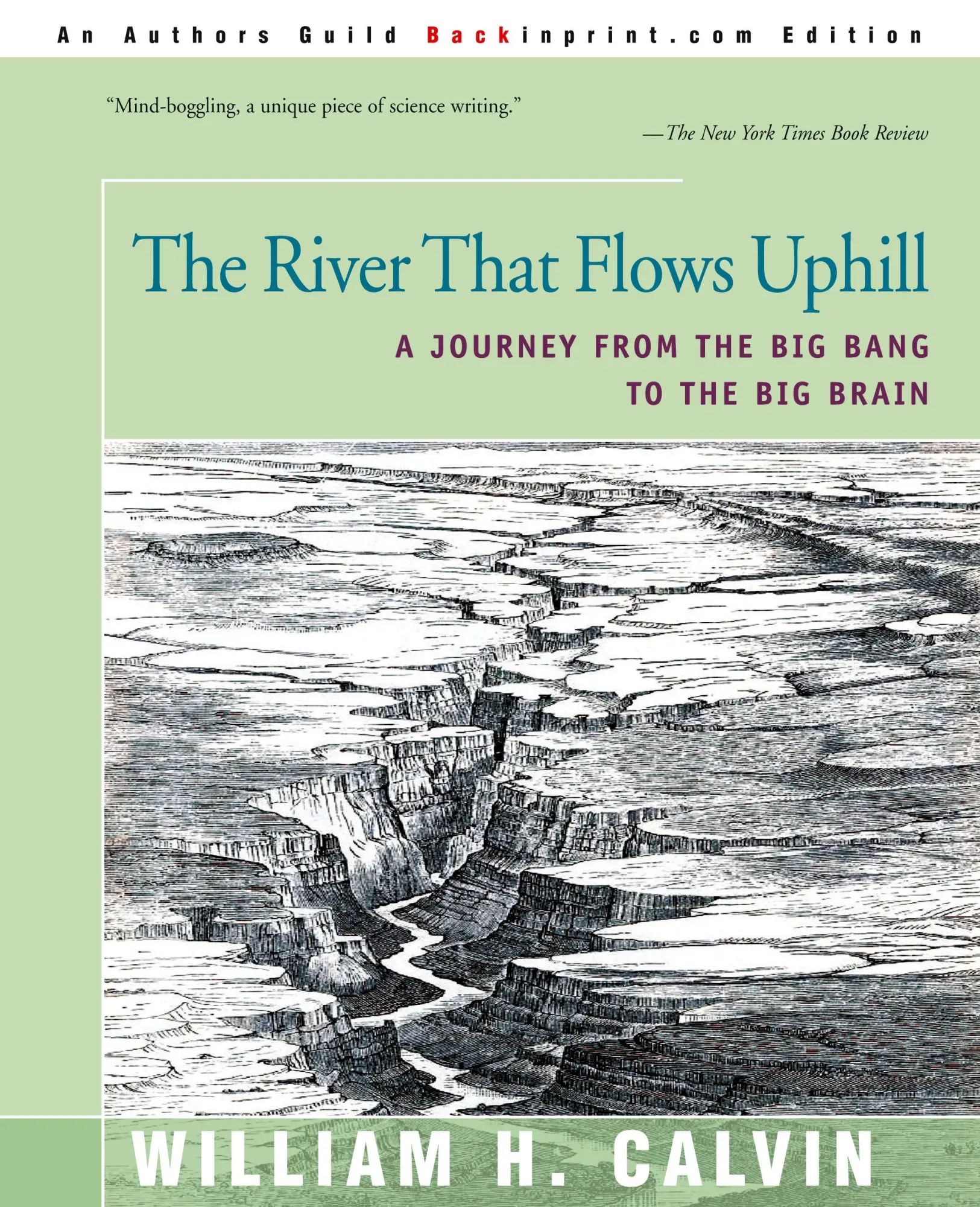 Cover: 9780595167005 | The River That Flows Uphill | William H. Calvin | Taschenbuch | 2000