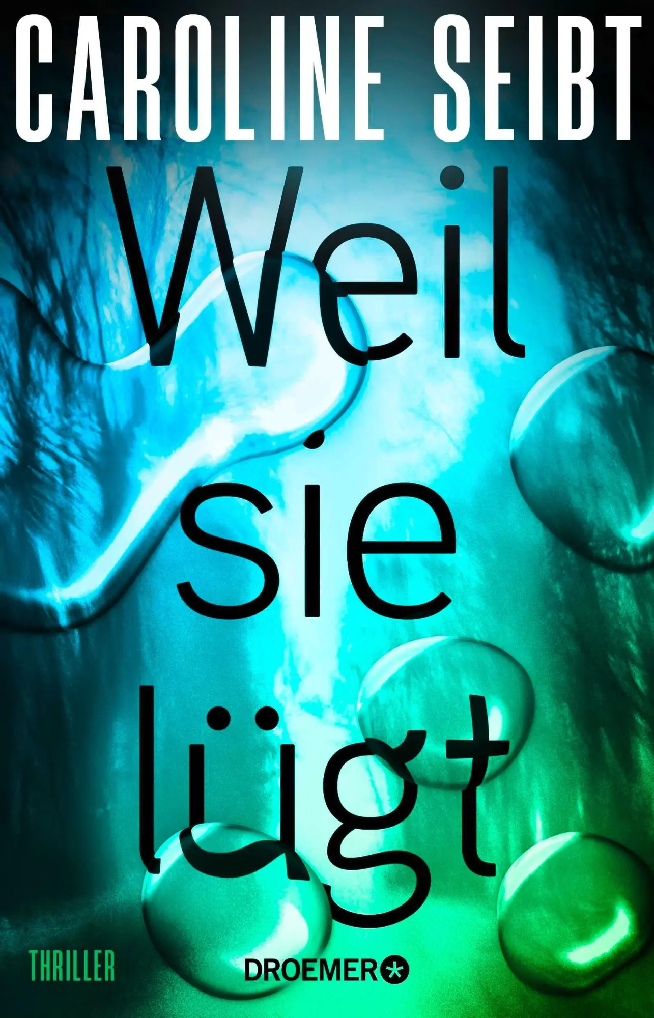Cover: 9783426567005 | Weil sie lügt | Thriller Von Glauser-Preisträgerin Caroline Seibt