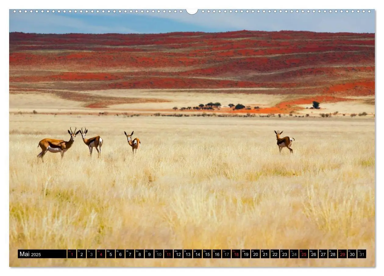 Bild: 9783435617005 | Namib Naukluft Nationalpark. NAMIBIA 2025 (Wandkalender 2025 DIN A2...