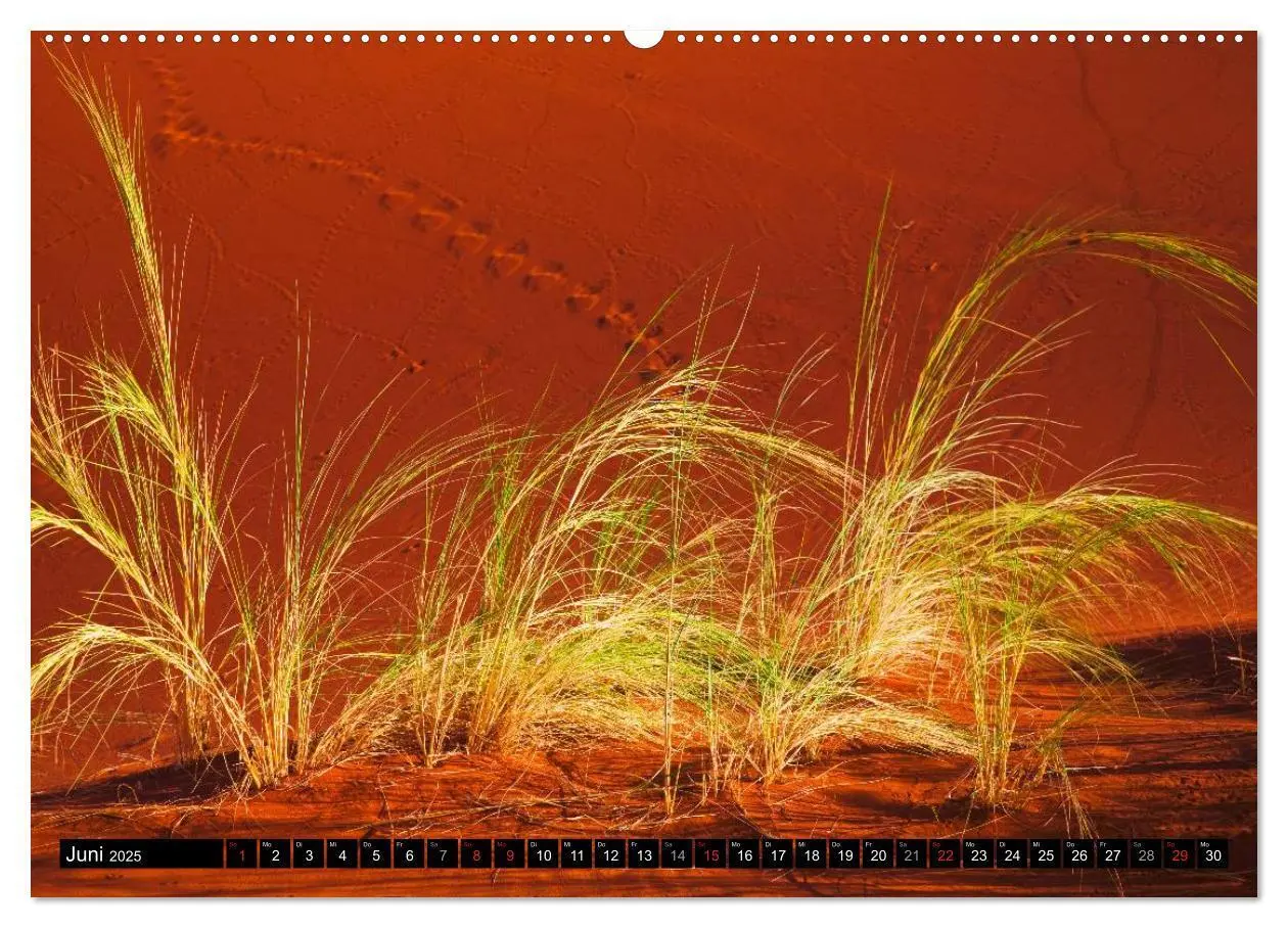 Bild: 9783435617005 | Namib Naukluft Nationalpark. NAMIBIA 2025 (Wandkalender 2025 DIN A2...