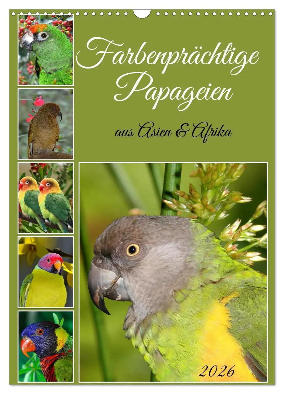 Cover: 9783516347005 | Farbenprächtige Papageien aus Asien und Afrika (Wandkalender 2026...