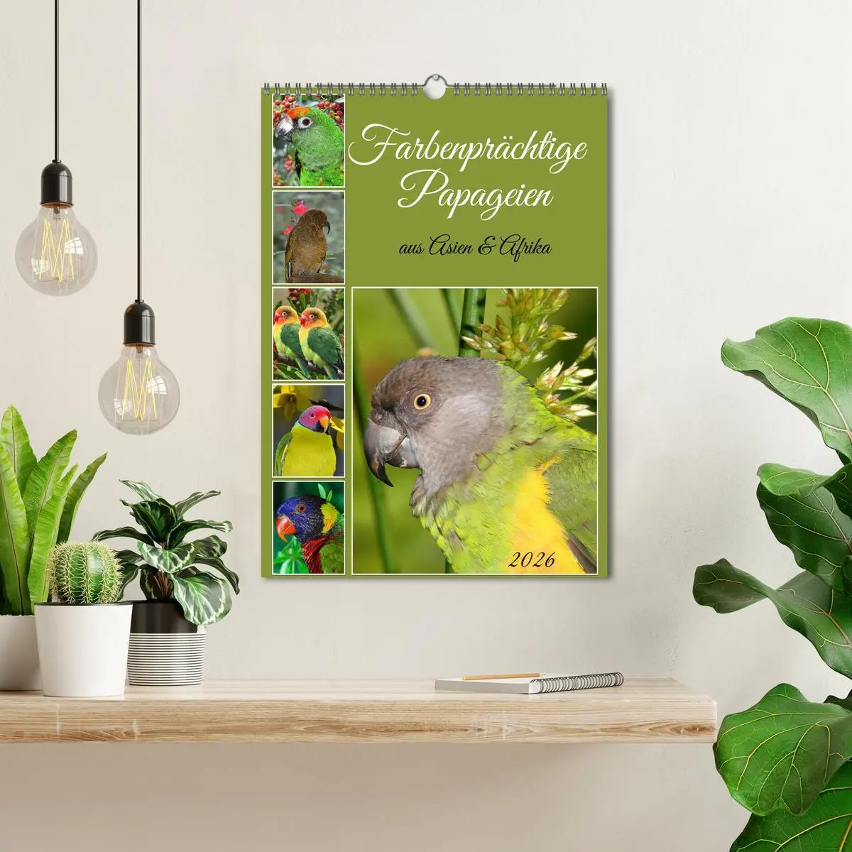 Bild: 9783516347005 | Farbenprächtige Papageien aus Asien und Afrika (Wandkalender 2026...