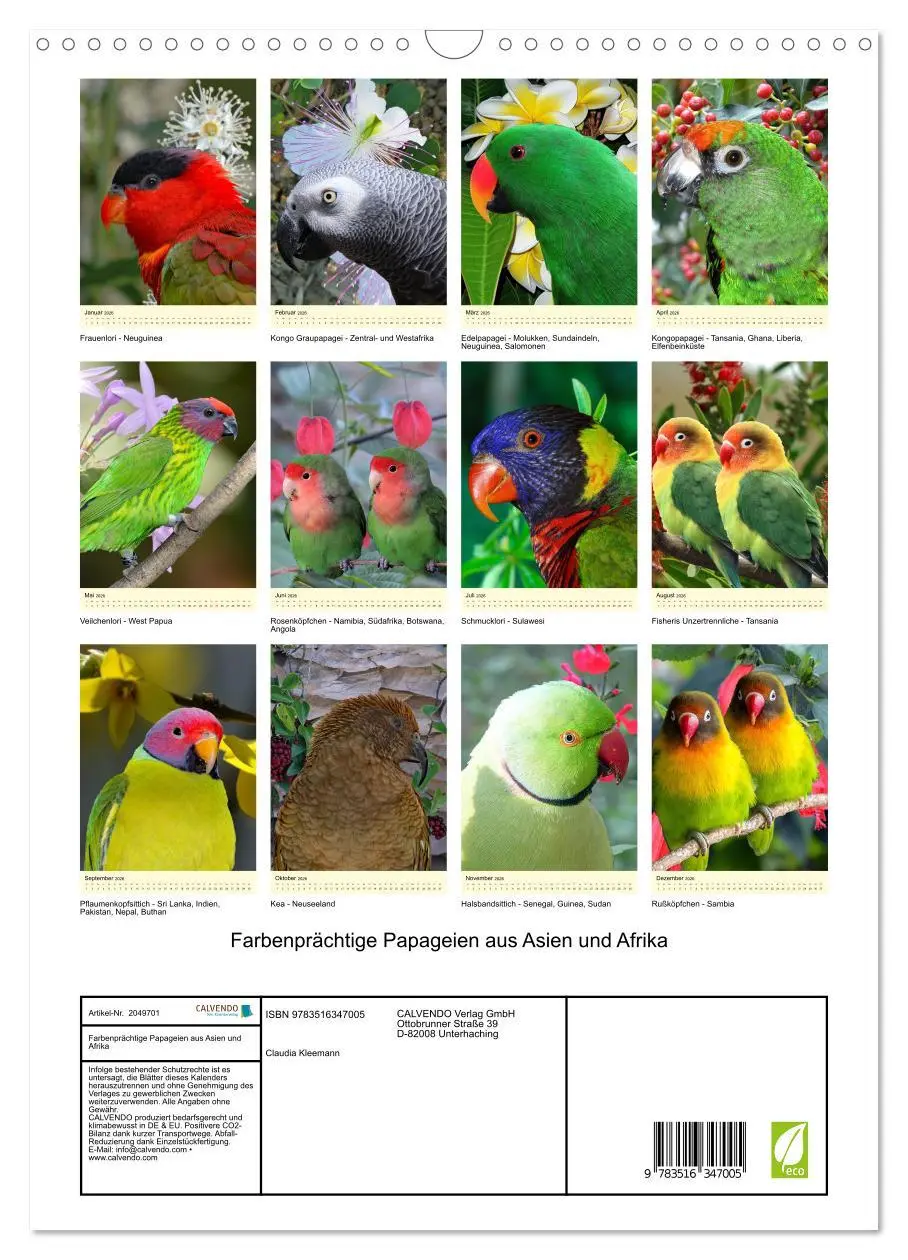 Bild: 9783516347005 | Farbenprächtige Papageien aus Asien und Afrika (Wandkalender 2026...