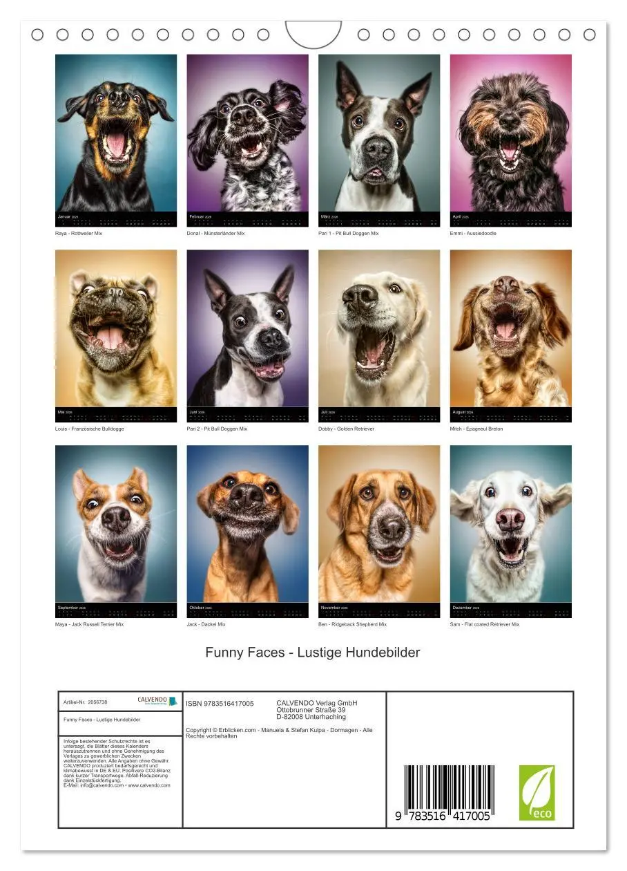 Bild: 9783516417005 | Funny Faces - Lustige Hundebilder (Wandkalender 2026 DIN A4 hoch),...