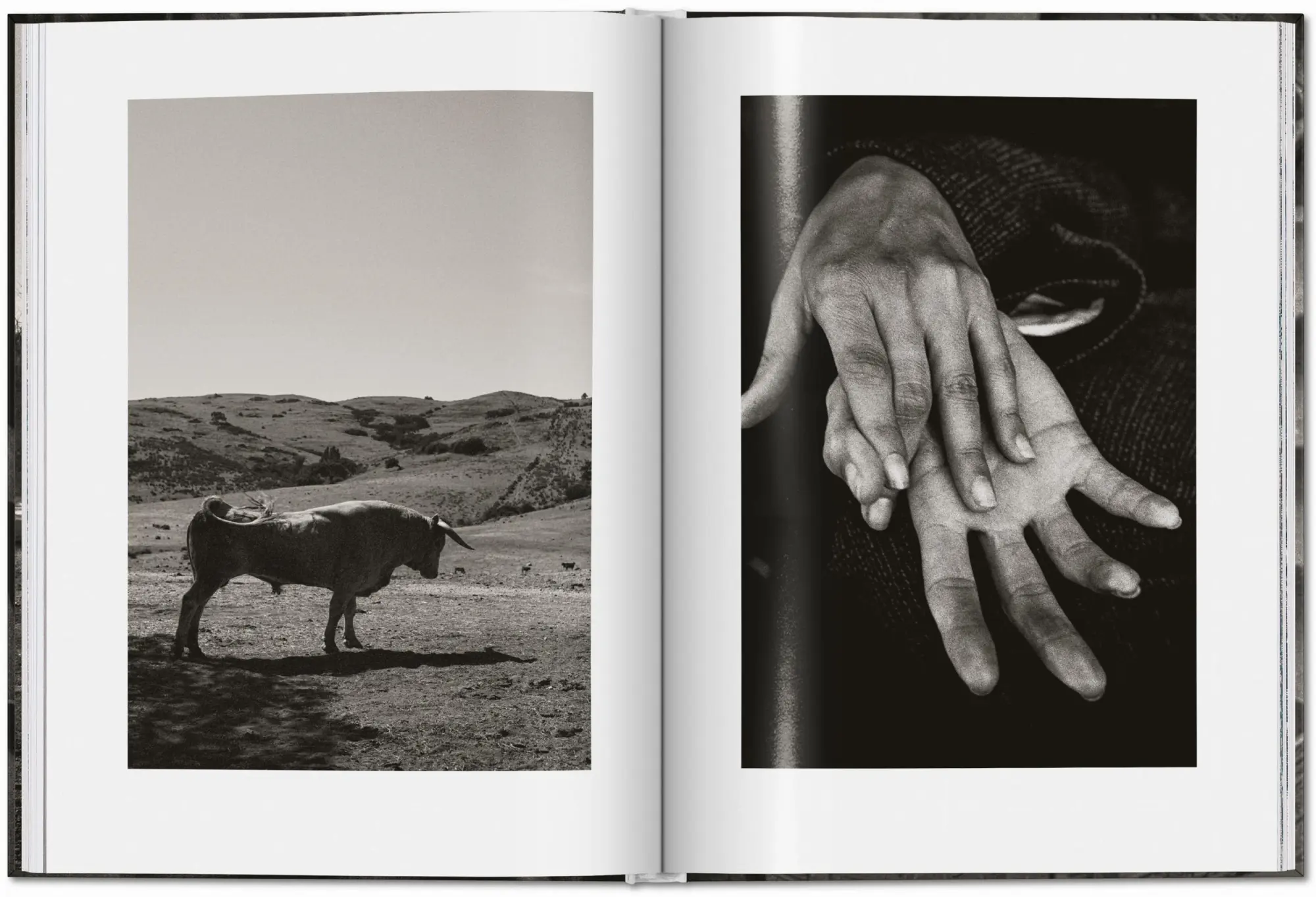 Bild: 9783836597005 | Peter Lindbergh. Untold Stories | Felix Krämer (u. a.) | Buch | 192 S.