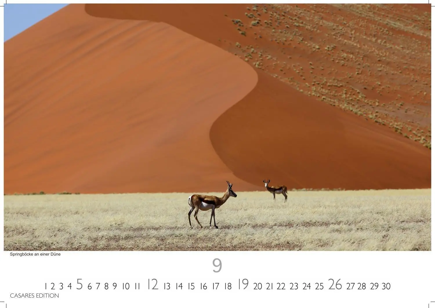 Bild: 9781835247105 | Namibia Kalender 2027 - Wandkalender Fotokalender Afrika 24x35 cm -...
