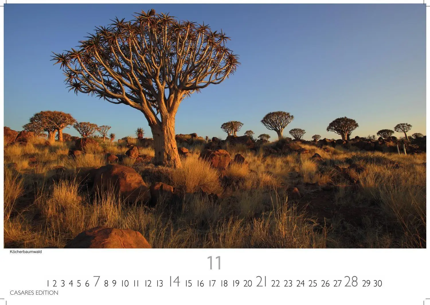 Bild: 9781835247105 | Namibia Kalender 2027 - Wandkalender Fotokalender Afrika 24x35 cm -...