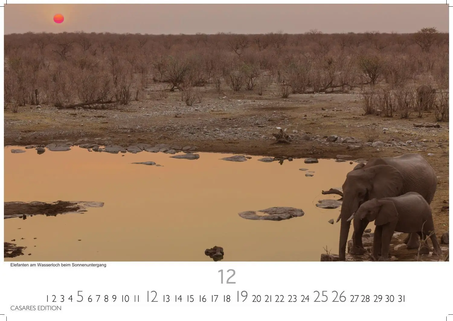Bild: 9781835247105 | Namibia Kalender 2027 - Wandkalender Fotokalender Afrika 24x35 cm -...