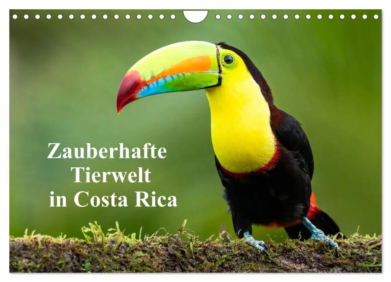 Cover: 9783457557105 | Zauberhaft Tierwelt in Costa Rica (Wandkalender 2026 DIN A4 quer),...