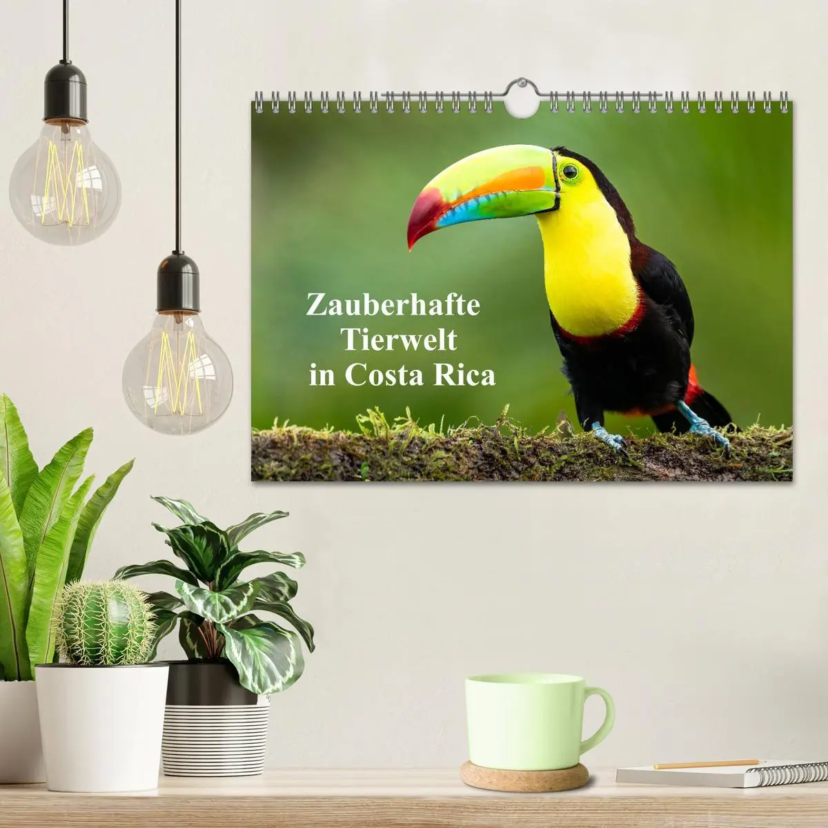 Bild: 9783457557105 | Zauberhaft Tierwelt in Costa Rica (Wandkalender 2026 DIN A4 quer),...