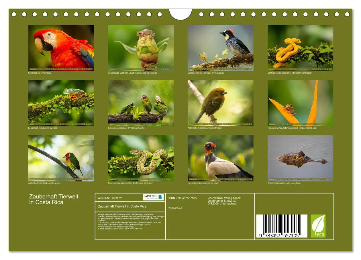 Bild: 9783457557105 | Zauberhaft Tierwelt in Costa Rica (Wandkalender 2026 DIN A4 quer),...