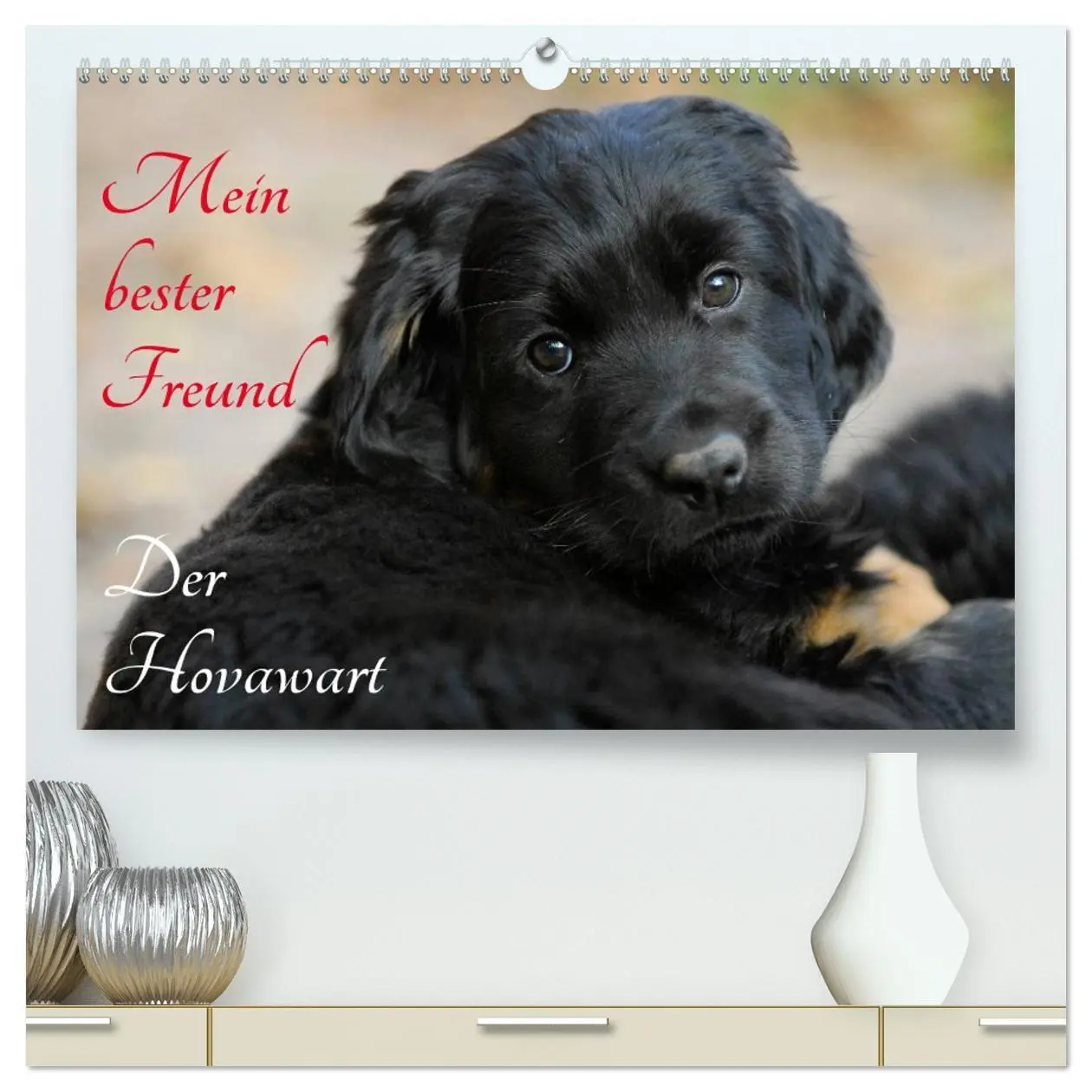 Cover: 9783516027105 | Mein bester Freund - Der Hovawart (hochwertiger Premium...