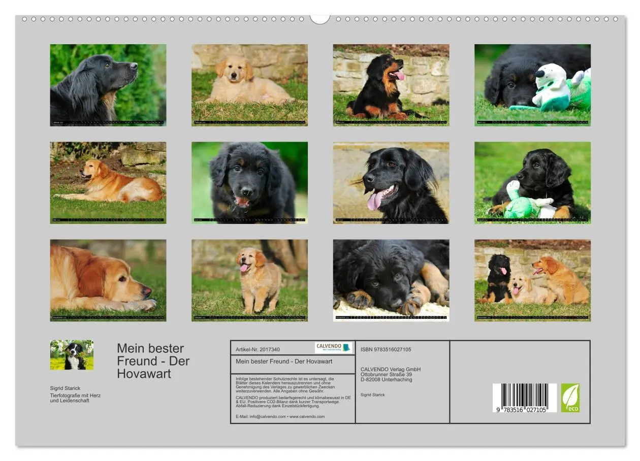 Bild: 9783516027105 | Mein bester Freund - Der Hovawart (hochwertiger Premium...