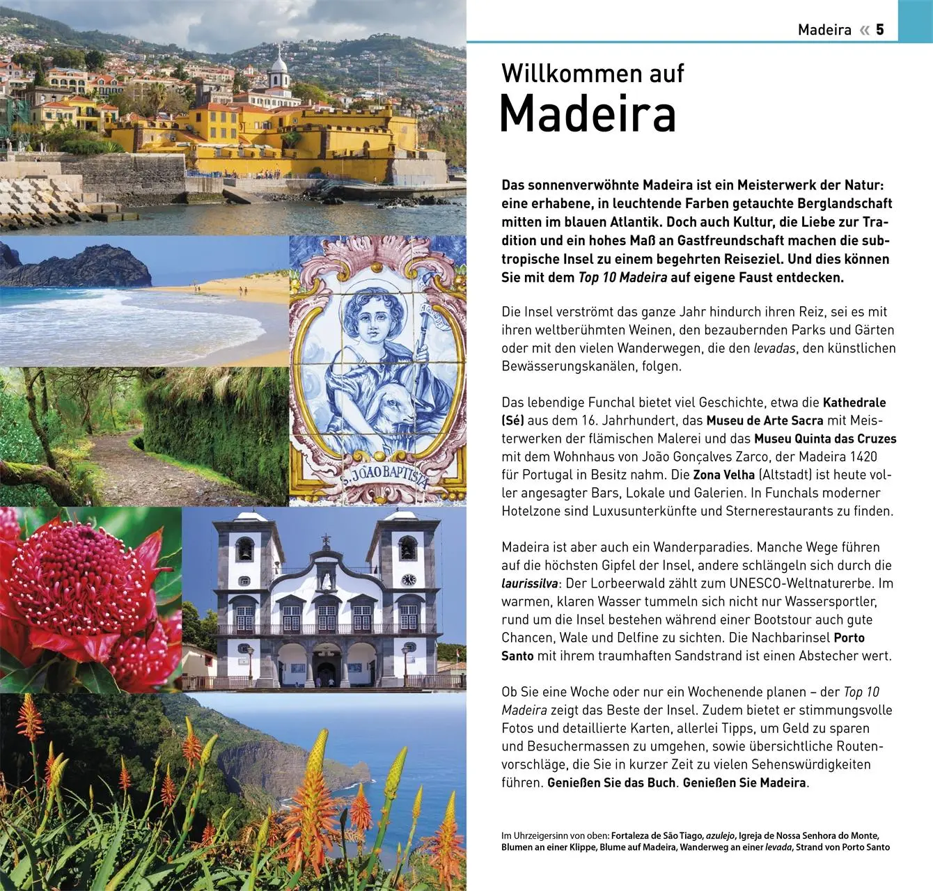 Bild: 9783734207105 | TOP10 Reiseführer Madeira | DK Verlag - Reise | Taschenbuch | 128 S.