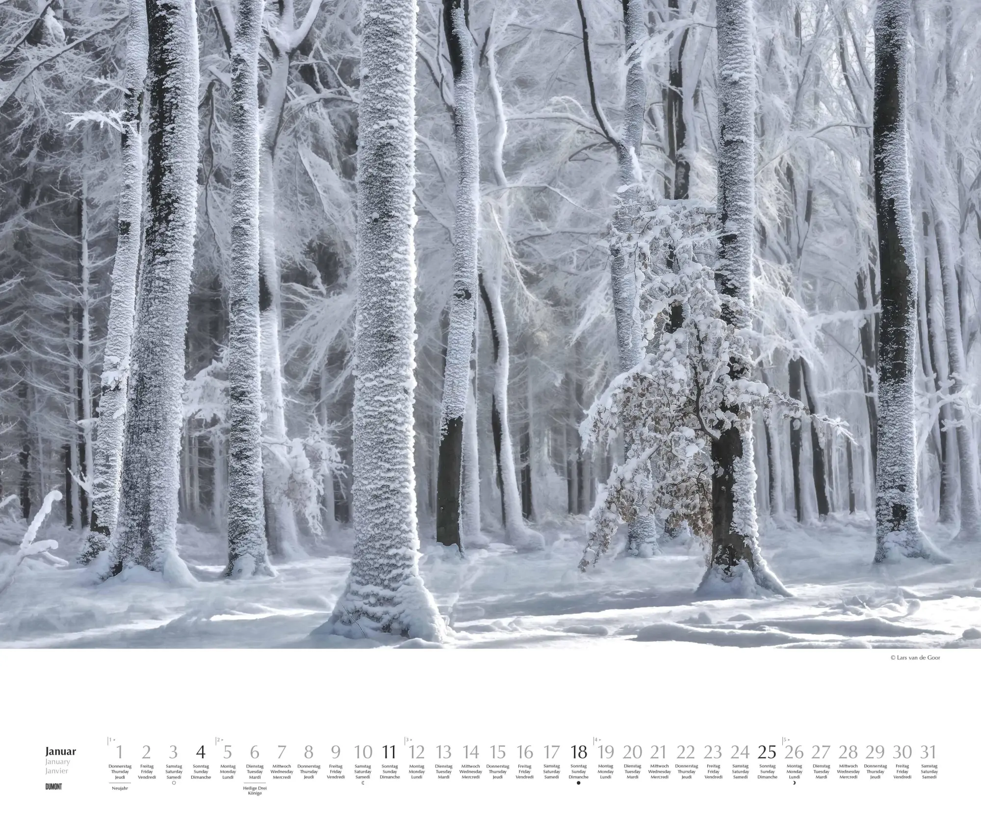 Bild: 4069095007505 | Waldspaziergang 2026 - Fotokunst-Kalender - Querformat 60 x 50 cm -...
