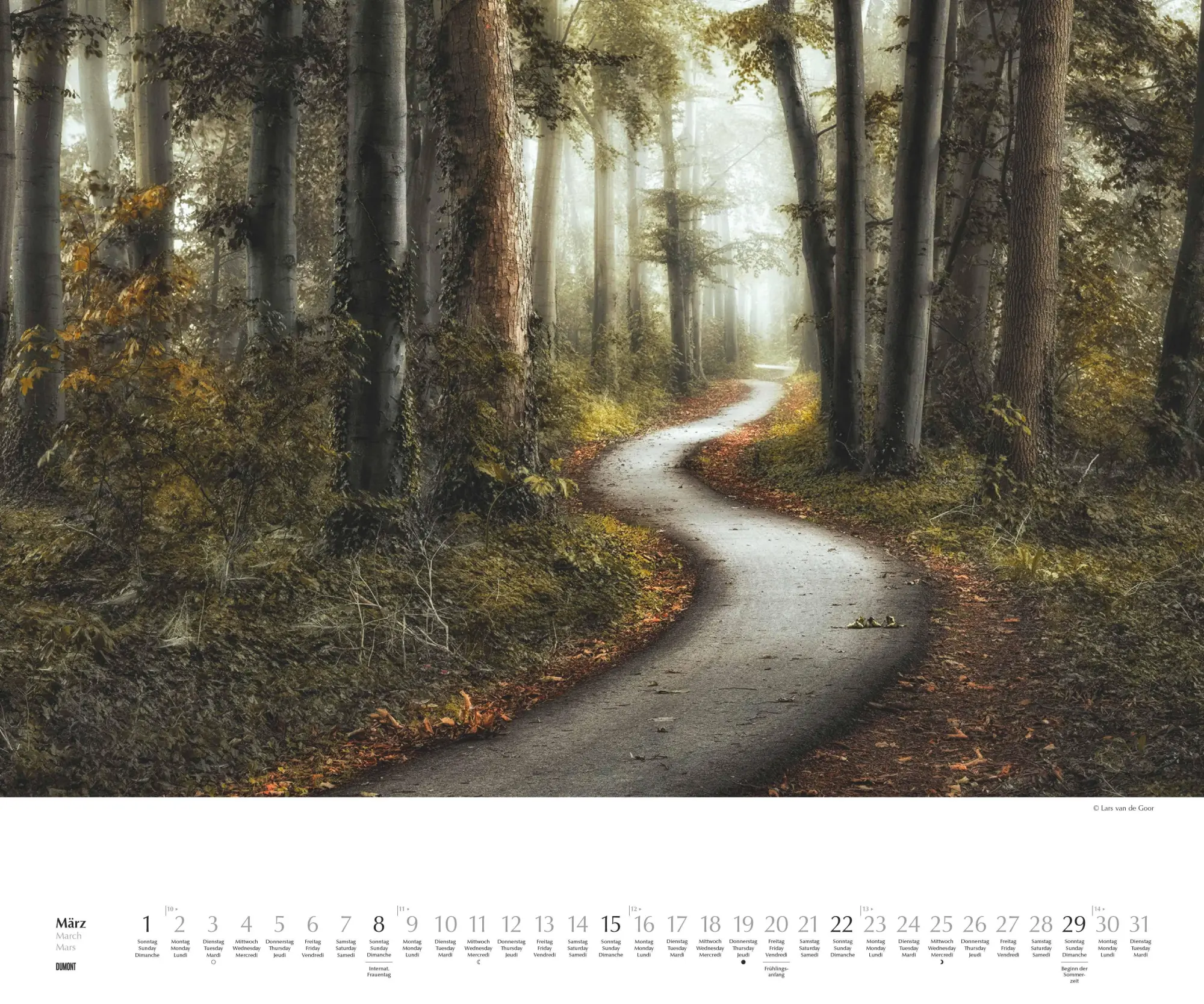 Bild: 4069095007505 | Waldspaziergang 2026 - Fotokunst-Kalender - Querformat 60 x 50 cm -...