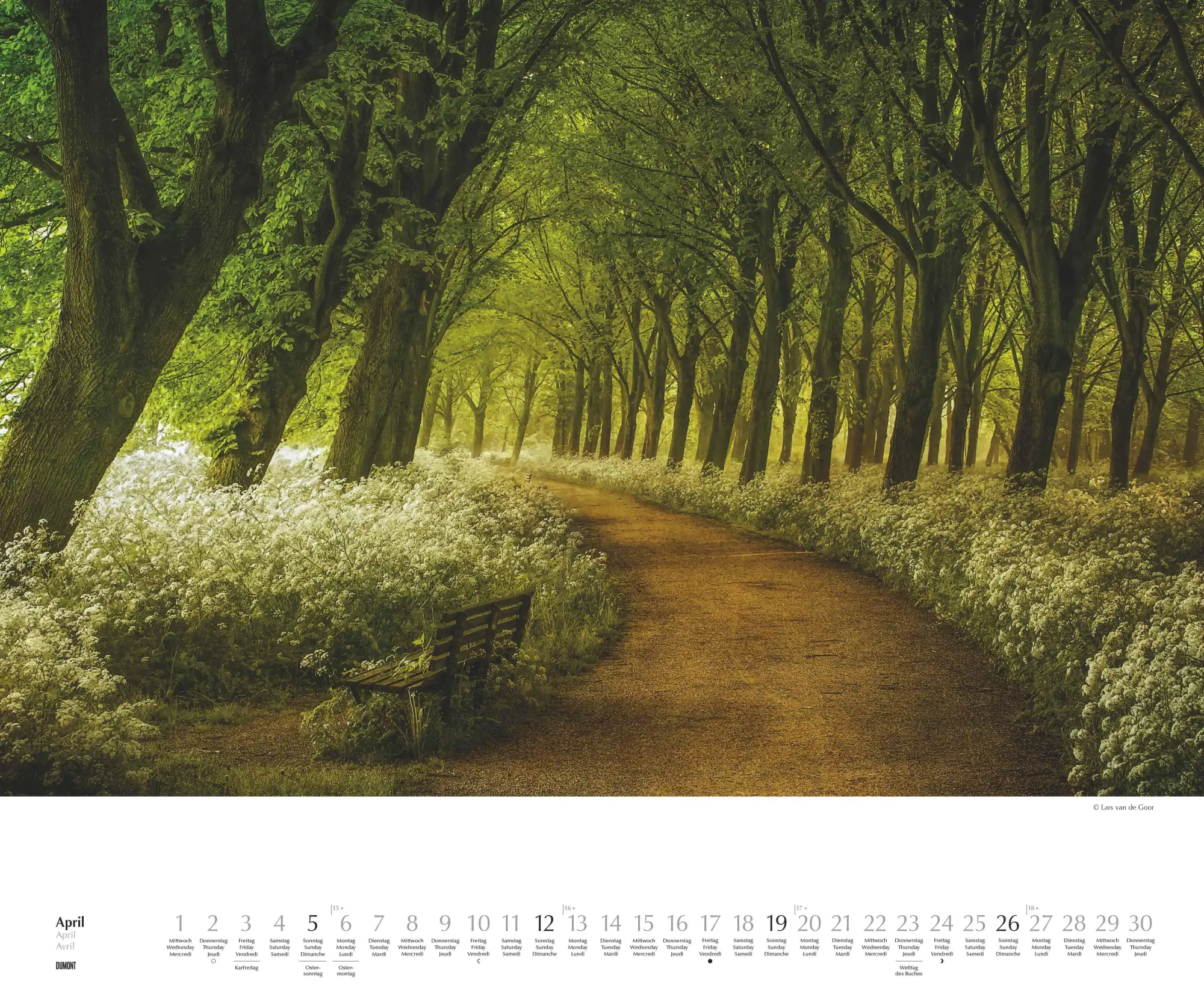 Bild: 4069095007505 | Waldspaziergang 2026 - Fotokunst-Kalender - Querformat 60 x 50 cm -...