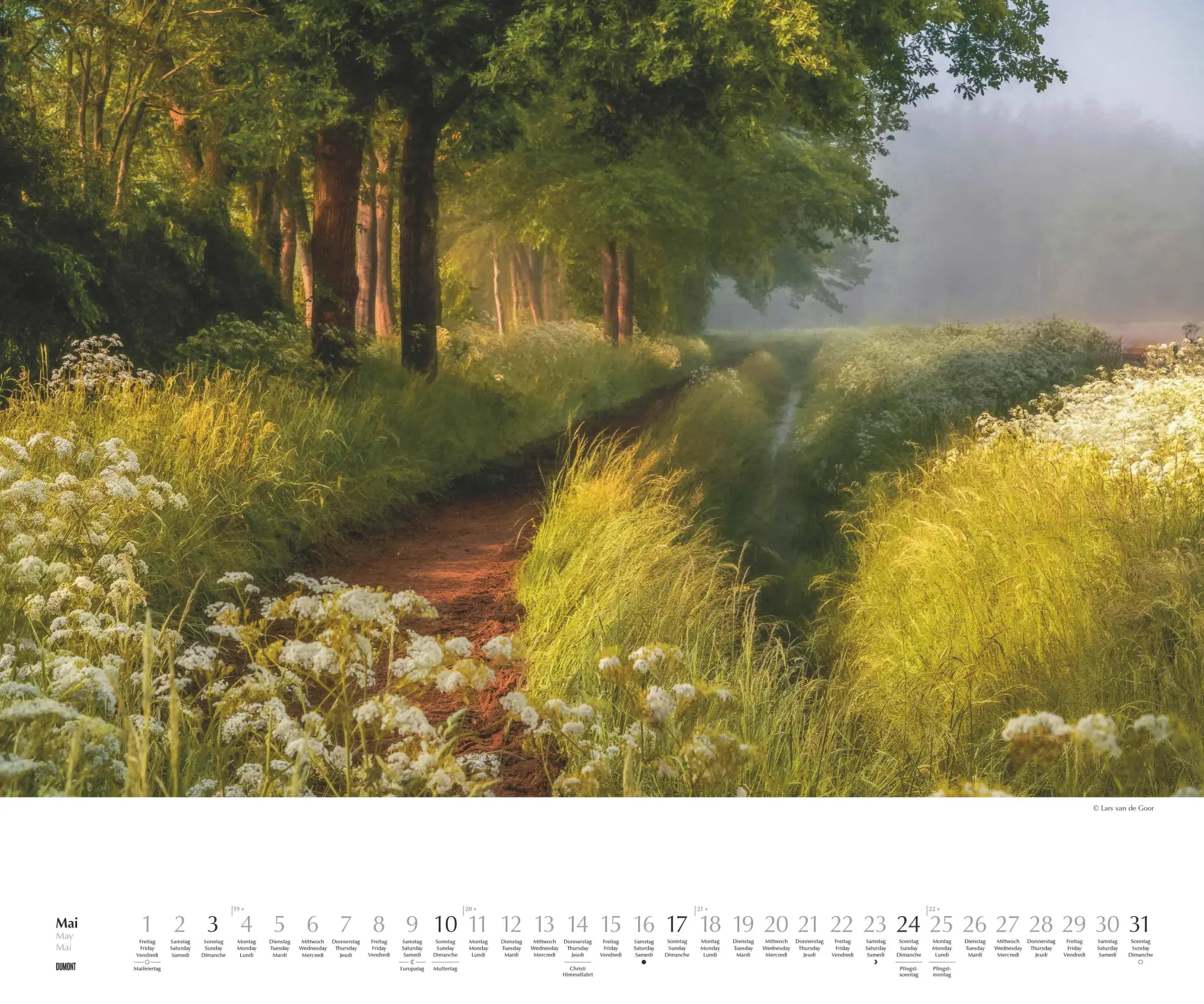 Bild: 4069095007505 | Waldspaziergang 2026 - Fotokunst-Kalender - Querformat 60 x 50 cm -...