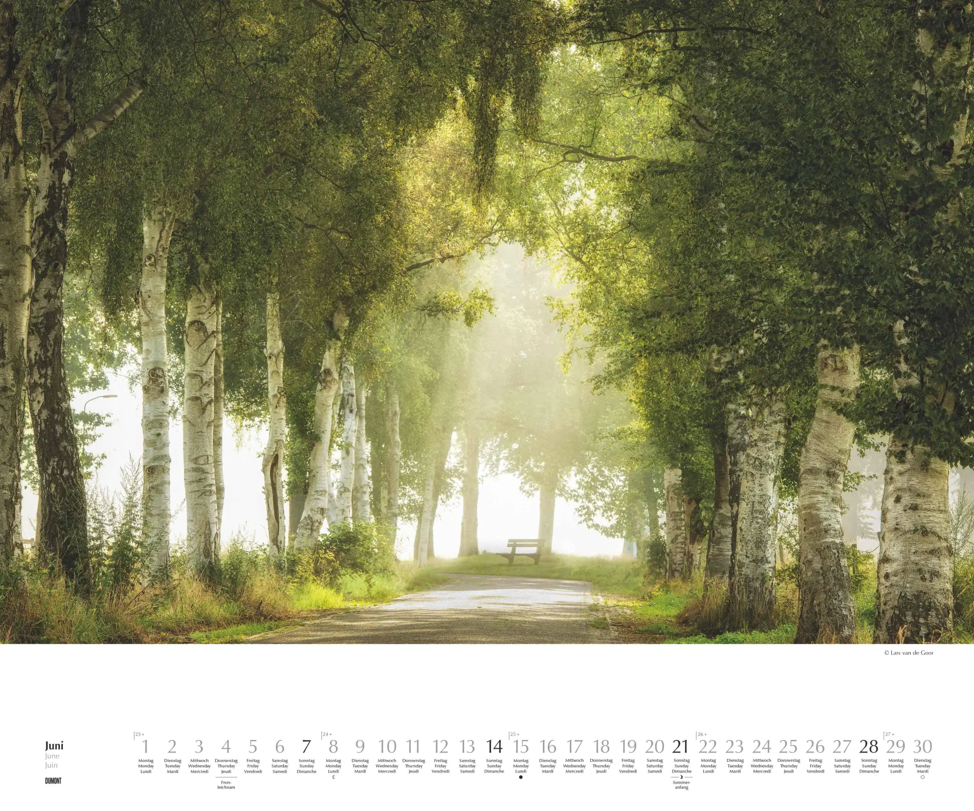 Bild: 4069095007505 | Waldspaziergang 2026 - Fotokunst-Kalender - Querformat 60 x 50 cm -...