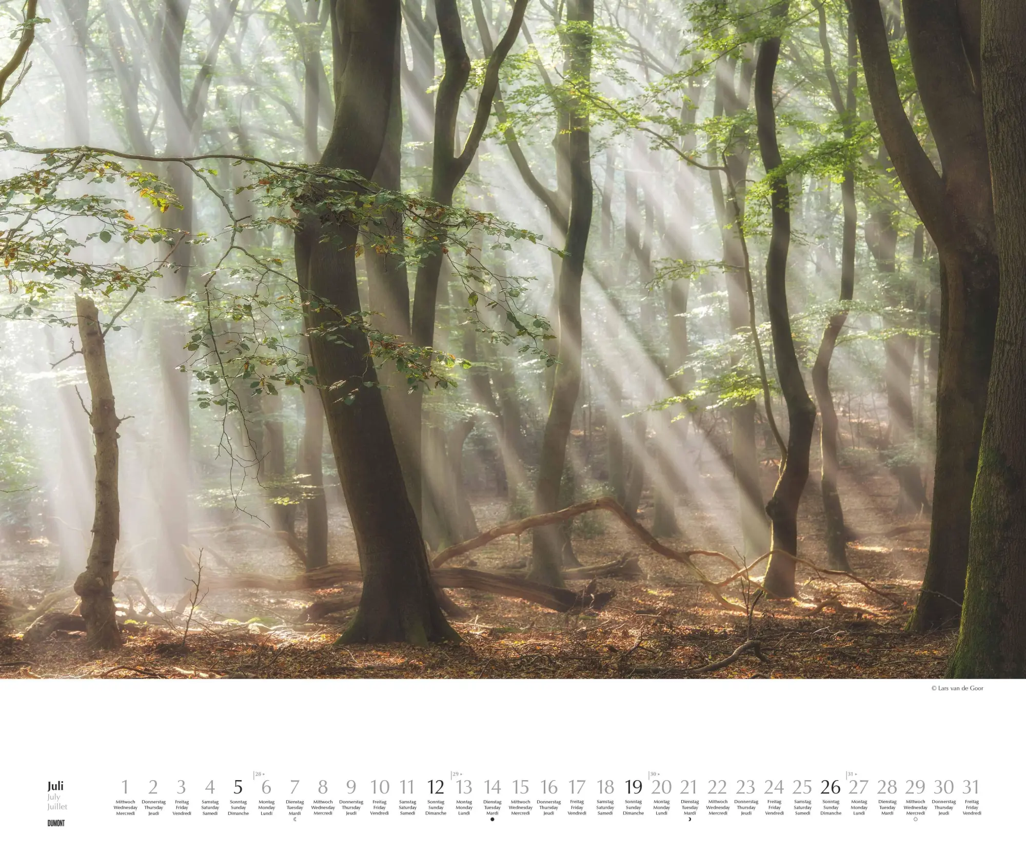 Bild: 4069095007505 | Waldspaziergang 2026 - Fotokunst-Kalender - Querformat 60 x 50 cm -...
