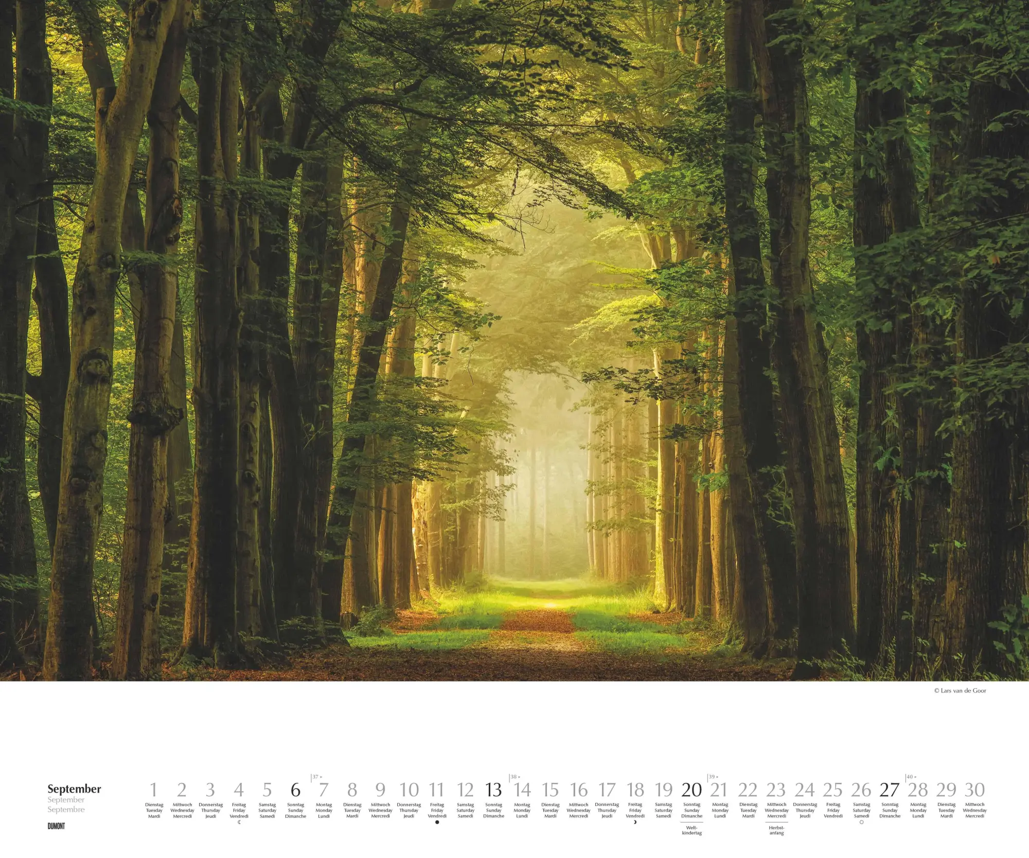 Bild: 4069095007505 | Waldspaziergang 2026 - Fotokunst-Kalender - Querformat 60 x 50 cm -...